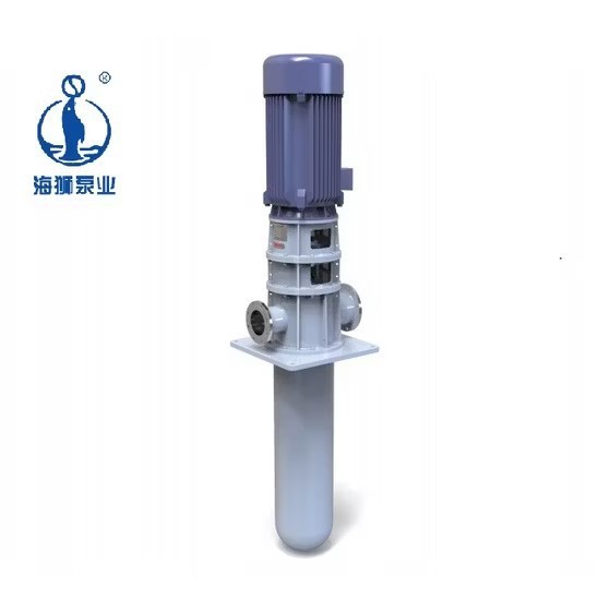 Single Suction Haishi Centrifugal Water Slurry Vs5 Vertical Pump With Factory Price price